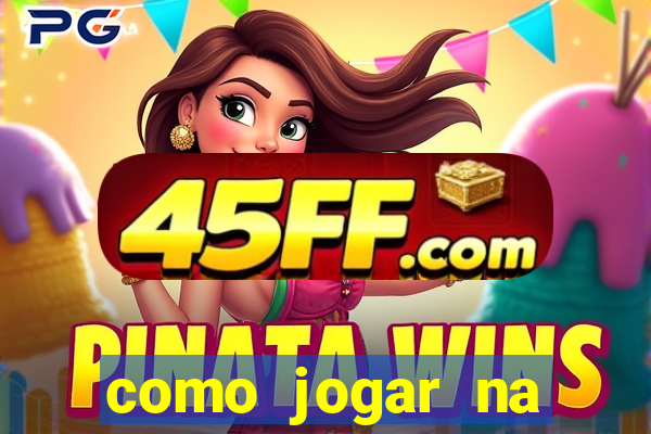como jogar na lotinha do jogo do bicho